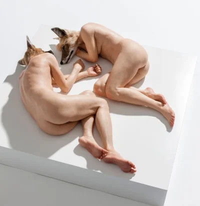 zblazowanyanon - Sam Jinks,"Unsettled dogs"_ 2012
#sztuka #rzezba