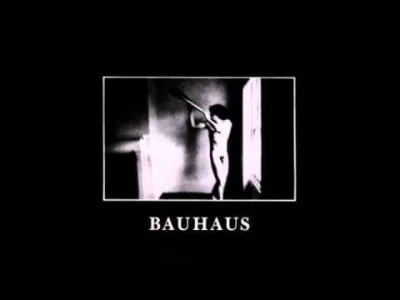 Piezoreki - Bauhaus - In The Flat Field

#bauhaus #postpunk #gothicrock #rock #muzy...