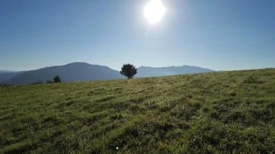 SirEuler - A jak wasz poranek? #azylboners #bieszczady