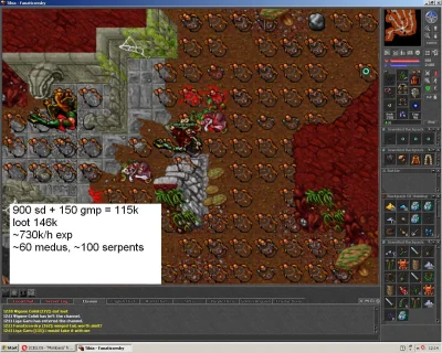 niepoprawny_marzyciel - #tibia