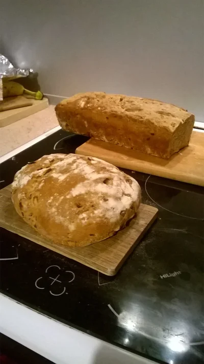MortenH - #chleb #pieczzwykopem #gotujzwykopem

Mój pierwszy chleb na zakwasie. 100...