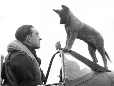 N.....h - Czeski pilot RAF'u ze szczeniakiem.

#iiwojnaswiatowa #fotohistoria #hist...