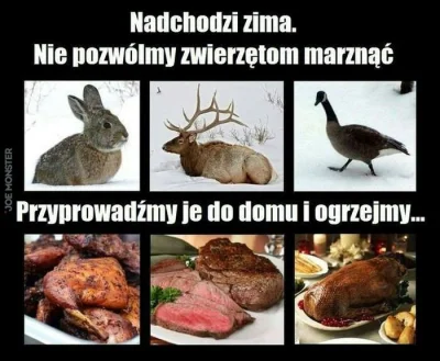 keylornavas1 - #humorobrazkowy #bekazwegetarian #wegetarianizm