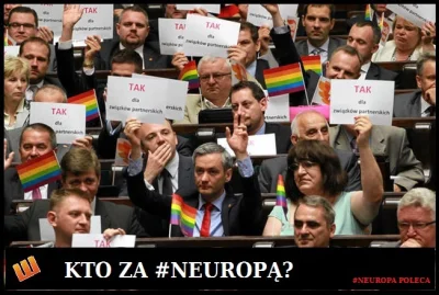 p.....4 - #neuropa #zakopujzneuropa #lewactwo #1111 #peterkovacpoleca