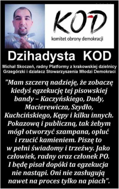 paramedix - Więc powiadacie, że za zabójstwo Adamowicza odpowiedzialny jest obóz rząd...