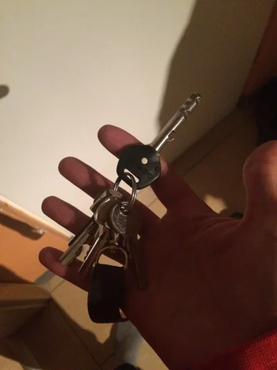 ignassbfg - Właśnie wchodząc do domu użyłem wszystkich 5 kluczy