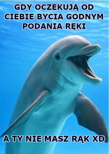 Fytyny93 - #delfiny #wislakrakow