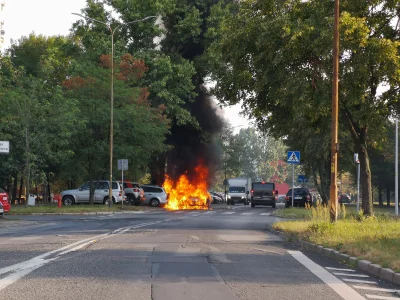 Maniek89 - Imigranci we #wroclaw znowu podpalaja samochody. A mówiłem żeby ich nie wp...