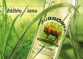 andrzejrybnik - żubrówka + sprite + cytryna

Król drinków jak lew jest król dżungli...