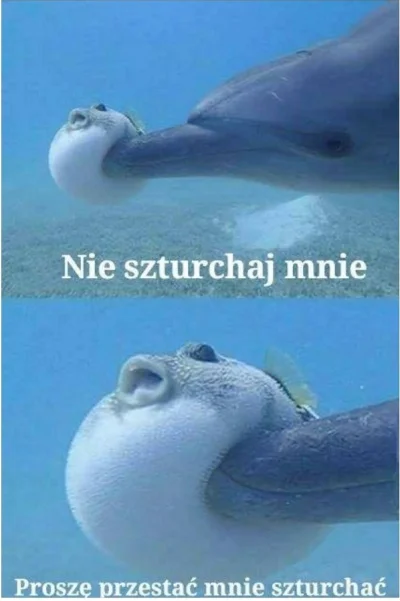 perfum - Jaka ta rybka urocza (｡◕‿‿◕｡) nic tylko ściskać po brzuszku ^^ 
#smiesznypi...