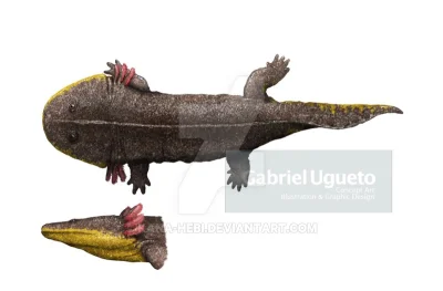 synbiauka69 - Plagiobatrachus australis
Autor: Gabriel Ugueto
#paleoart #smiesznaza...