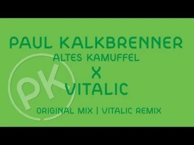 Suszara - Paul Kalkbrenner X Vitalic - Altes Kamuffel - Vitalic Remix

#muzykaelektro...