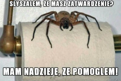 npwjsn - #arachnofobia #pajonk #heheszki