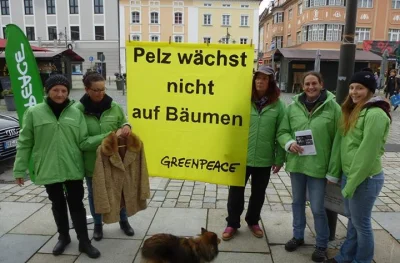 yolantarutowicz - Kolega z niemieckiego Greenpeacu pyta co tam w Polsce zrobiliście d...