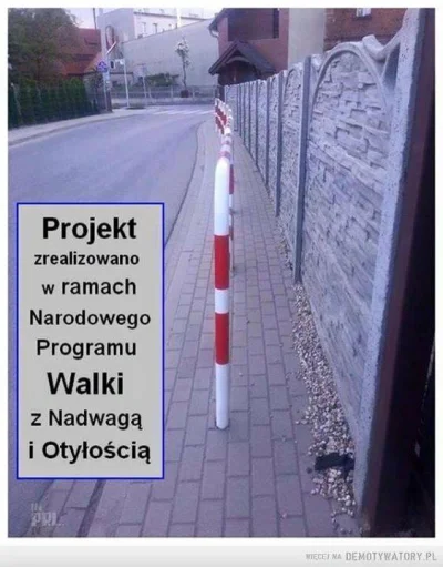 Lajsikonik - #heheszki #polskiechodniki