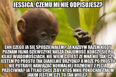 Matekpajaski - #niebieskiepaski #rozowepaski #przegryw#przegryw
#nosaczsundajski