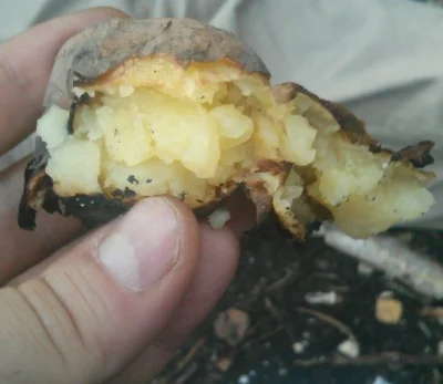 Dimi - komu ziemniaka z ogniska? ;>
#dimiwlesie #ognisko #las #gotujzwykopem