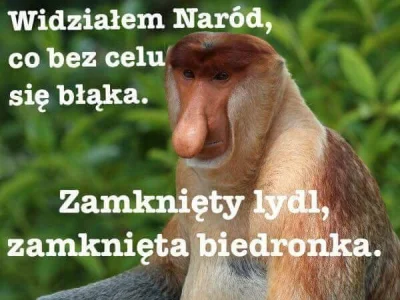grako - #dziendobry #heheszki #humorobrazkowy #polak #nosaczsundajski #niedziela