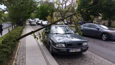 hrumque - #opole drzewo przewróciło się na audi zaparkowane przy ulicy Piastowskiej, ...