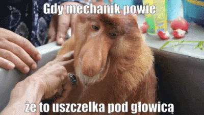 CplusE - ( ͡° ʖ̯ ͡°)
#polak #nosaczsundajski #heheszki #gif