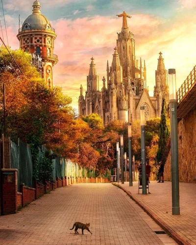 Castellano - Sagrada Família. Barcelona. Hiszpania
foto: dariovero_
#fotografia #hi...