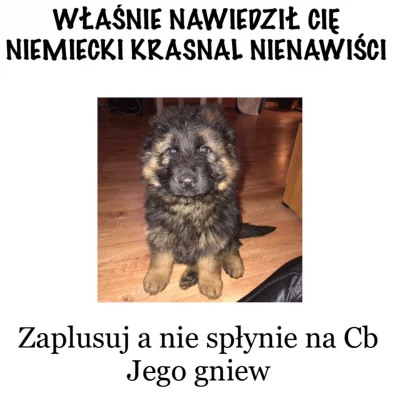 malaoflake - popełniłam mema #wroclaw #humorobrazkowy #heheszki #pokazpsa