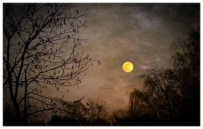 bolorollo - Zdjęcie wczorajszego księżyca. Przerobione w Photoshop Express na Android...
