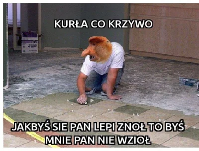 A.....e - Kurła co krzywo?

#heheszki #humorobrazkowy #polak