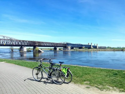 spokoromek - Pierwsze #100 w tym roku, po roku przerwy. Żuławy. Spoko teren, aczkolwi...