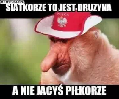 kre-dens - polski nosacz sundajski
#siatkowka #mecz #siatkowka