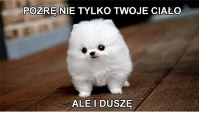 Mulek05 - #humor #humorobrazkowy #smiesznypiesek