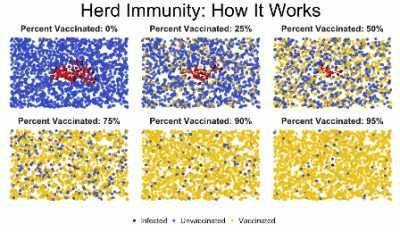 fiziaa - @Rak777: Na podstawie praw immunologii. Jacy lekarze tak mówią? Ja tak nie m...