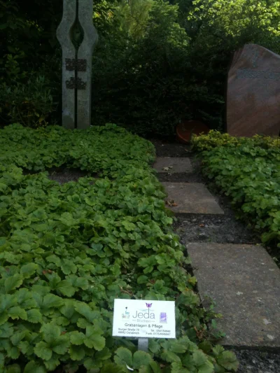 tusiatko - #niemcy #cmentarz #grob #ogrodnictwo #marketing

Czo ci niemieccy ogrodnic...