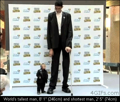 mactrix - Spotkanie największego i najmniejszego człowieka na świecie #rekordyguiness...