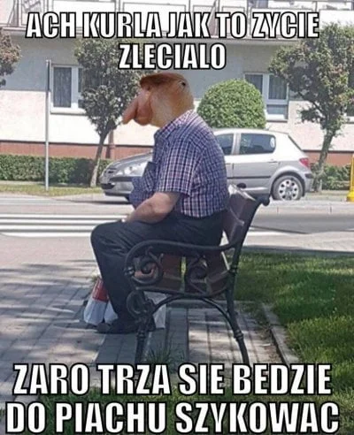 jamtojest - #nosaczfeeldajski to jest absolutne złoto.

Genialne są normalne memy z...