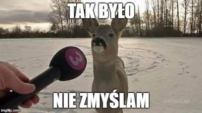 Guziectakaswiniazafryki