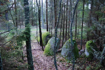 fungi_ - Megality Kultury Pucharów Lejkowatych dość licznie występują w dolinie rzeki...