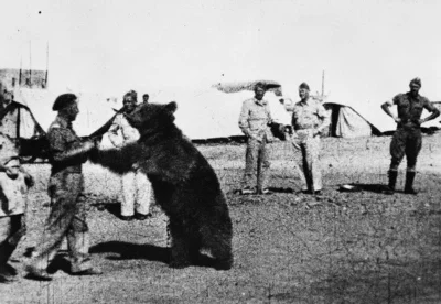 echelon - @Ojcomitam: A niedźwiedź? Co niedźwiedź w wojsku zrobi?

Źródełko: https:...