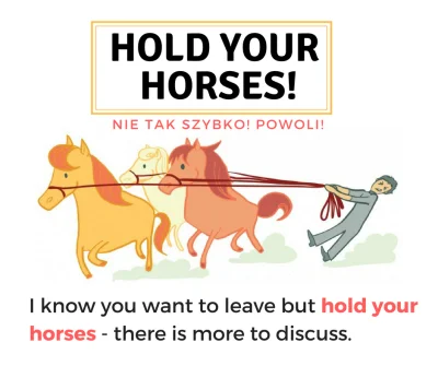 Slmt - @Slmt: Znaliście wyrażenie: "Hold your horses"? Stosowane bardzo często i w wi...