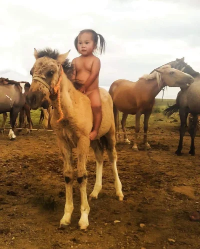 Jakub86 - #mongolia #konie #fotografia #dzieci #mongolialive #zwierzeta #azja https:/...