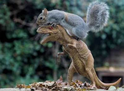 GraveDigger - Ogromna prehistoryczna wiewiórka rozprawia się z tyranozaurem!

#zwierz...