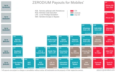 nobrainer - skoro mowia o tej dziurzy , to juz nie ukryta 


a za backdoora, explo...