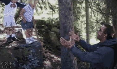 trzeci - #zonabijealewolnobiega #gif