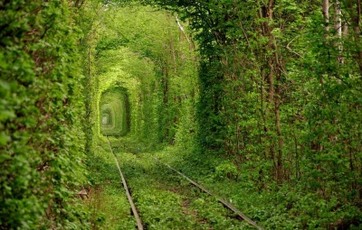 Z.....t - Klewań, Ukraina - Tunel Miłości

 #earthporn #fotografia #podroze #natura...