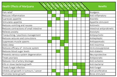 szpongiel - > Swoją drogą OP pisze o THC, a to chyba CBD ma właściwości terapeutyczne...