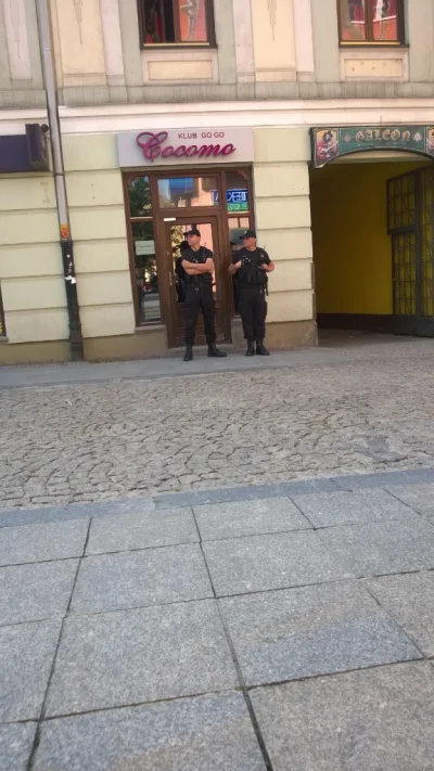 puma787 - Cocomo zatrudnilo w Kielcach policje do ochrony xD 

#heheszki #kielce #coc...