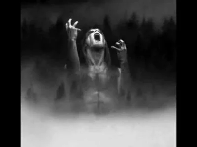 T.....h - Taake - Umenneske
#muzyka #metal #blackmetal