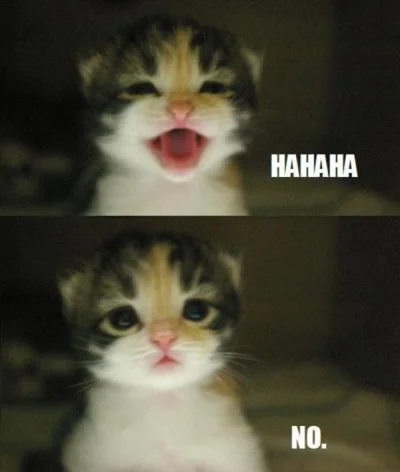 W.....k - @royaltrux: twoją starą HAHAHAAH