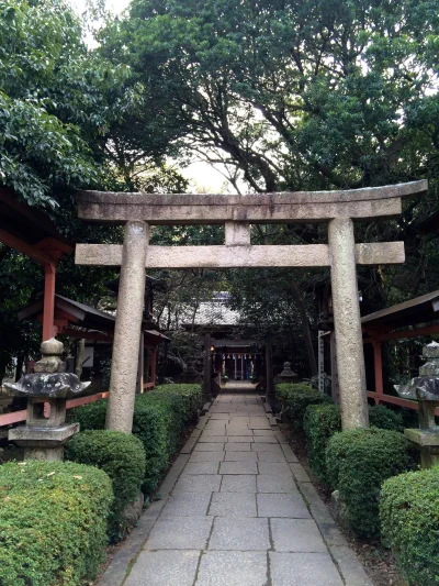 u.....r - #japonia #torii