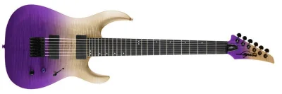 fetozaur - Legator NINJA-X series
#gitara #gitaraelektryczna #guitarporn #muzyka #es...